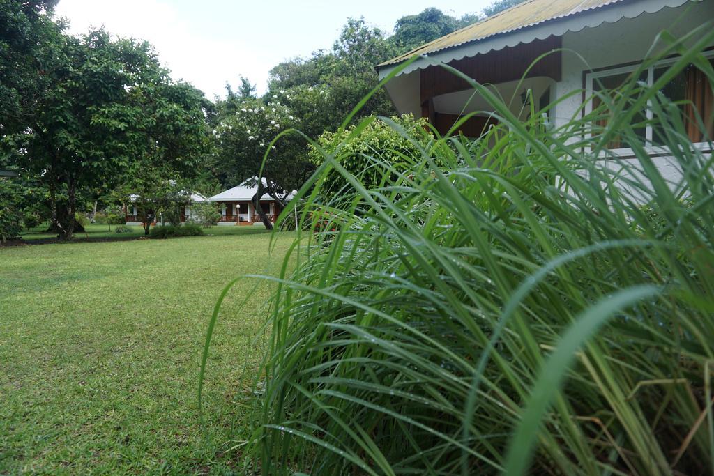 Chalet Bamboo Vert ลาดิก ภายนอก รูปภาพ